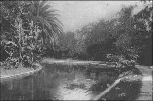 ALGER 055 JARDINDESSAI